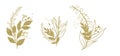 Watercolor floral illustration set - gold leaf branches, for wedding stationary, greetings, wallpapers, fashion, background.