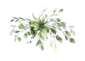 Watercolor floral illustration set - green eucalyptus leaf branches collection, for wedding invitation, greetings cards