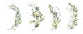 Watercolor floral illustration set - green leaf branches bouquets collection, for wedding stationary, greetings