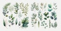 Watercolor floral illustration set - green leaf branches collection. Decorative elements Royalty Free Stock Photo