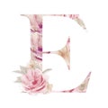 watercolor Floral Letter E Blooming Alphabet Design. Watercolour Font letter B isolated on white background. Royalty Free Stock Photo