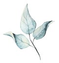 Watercolor floral light blue twig. Vector traced isolated brunch illustration