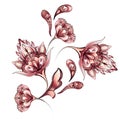 Watercolor Floral Motif Design