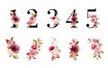 Watercolor floral number set of 1, 2, 3, 4, 5 with red and brown flowers and leaves. Flowers composition for logo, cards, branding