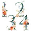 Watercolor floral numbers set of 1, 2, 3, 4 with flowers. Hand painted symbols of peony, ranunculus and daisy isolated