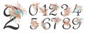 Watercolor floral numbers set with wild flowers from 0 to 9