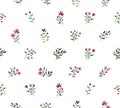 Watercolor floral ornamental pattern Royalty Free Stock Photo