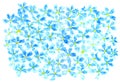Watercolor floral pattern. Abstract aqua flowers on white background. Greeting card. Wedding invitation