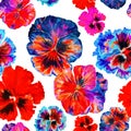 Watercolor floral pattern. Beautiful pansies isolated on white background. Red, blue flowers