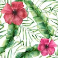 Watercolor floral pattern with exotic flowers and leaves. Hand painted seamless ornament with tropical plant: hibiscus Royalty Free Stock Photo