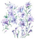 Watercolor floral pattern. Subtle pastel lilies.