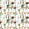 Watercolor floral pattern, wild flowers queen anne`s , herbs Royalty Free Stock Photo