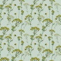 Watercolor floral pattern, wild flowers queen anne's lace and herbs, Royalty Free Stock Photo