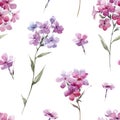 Watercolor floral phlox vector pattern