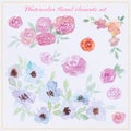 Watercolor floral and roses elements. Spring watercolor flowers