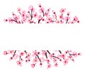 Watercolor floral sakura frame. Spring cherry blossom border, isolated on white.