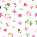 Watercolor floral seamless pattern with painted flowers, berries, leaves, branches. Hand drawn illustration Royalty Free Stock Photo