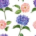Watercolor floral seamless pattern with blue hydrangea and blush pink rose on white background. Summer garden print Royalty Free Stock Photo