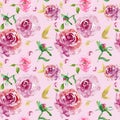 Watercolor Floral seamless pattern with burgundy roses with gold leaves and pink rose buds on pink background Royalty Free Stock Photo