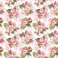 Watercolor Floral seamless Pattern. Cute spring Flowers. Blooming tree branches on a white Background. Painting of Pink Royalty Free Stock Photo