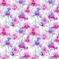 Watercolor Floral Seamless pattern of delicate blue pink orchid flowers on white background, exuding sense of tropical Royalty Free Stock Photo