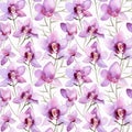 Watercolor Floral Seamless pattern of delicate pink purple orchid flowers on white background, exuding sense of tropical Royalty Free Stock Photo