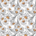 Watercolor floral seamless pattern with glitter. Camomille flowers