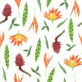 Watercolor floral seamless pattern. Tropical flowers. Royalty Free Stock Photo