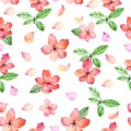 Watercolor floral seamless pattern with spring delicate flowers and leafs