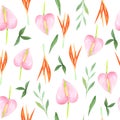 Watercolor floral seamless pattern. Tropical flowers. Royalty Free Stock Photo