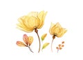 Watercolor floral set. Collection of two yellow transparent roses, leaves and berries. Hand painted isolated design