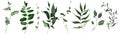 Watercolor floral set of green leaves, branches, twigs etc. Vector traced isolated greenery illustration.