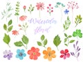 Watercolor floral set. Hand drawn design element. Vector EPS. Royalty Free Stock Photo