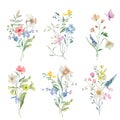 Watercolor floral set with spring garden flowers. Hand drawn illustration isolated on transparent background. Vector EPS. Royalty Free Stock Photo