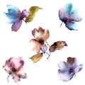 Watercolor floral set. Painting flowers for card design. Transparent floral petals. Royalty Free Stock Photo