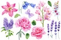 Watercolor Floral set. Peony, rose, lavender, lily, orchid, bluebells and lilac flower isolated. Hand drawn illustration Royalty Free Stock Photo