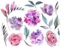 Watercolor floral set of pink roses, hydrangea, leaves and buds
