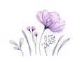 Watercolor floral set in purple. Transparent rose, leaves, branches isolated on white. Botanical abstract collection of