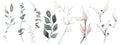 Watercolor floral set of turquoise and pink leaves, branches, twigs etc. Vector traced isolated greenery illustration.