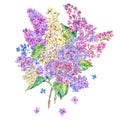 Watercolor floral spring card, blooming branch of lilac