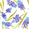 Watercolor Floral Texture with Provence Flowers