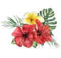 Watercolor floral tropical bouquet with hibiscus and plumeria. Hand painted monstera, palm branch and frangipani