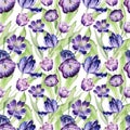 Watercolor floral tulip backgraund. Seamless colorful spring pattern. Watercolour violet tulip plant. Purple blossom