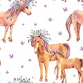 Watercolor floral unicorn, horse seamless pattern on white background. Animal fairy collection