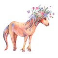 Watercolor floral unicorn illustration isolated on white background. Animal fairy collection