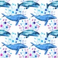 Whales pattern