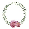 Watercolor floral wreath with eucalyptus, baby eucalyptus leaves and peony flowers. Royalty Free Stock Photo