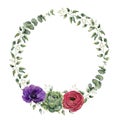 Watercolor floral wreath with eucalyptus, baby eucalyptus leaves, ranunculus, anemone and succulent. Hand painted floral border wi Royalty Free Stock Photo