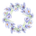 Watercolor floral wreath illustration with crocus, green leaves, for wedding stationery, greeting card, baby shower, banner Royalty Free Stock Photo