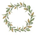 Watercolor floral wreath with leaves of magnolia. Hand painted bouquet with foliage isolated on white background. Floral
